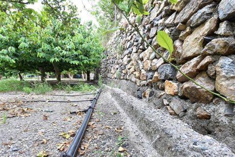 Finca i Motril, Granada, Motril - € 268.000 | Ref: 246 - foto 4